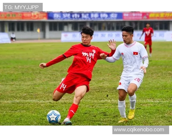 东兴足球明星队成员风采展示与成就回顾