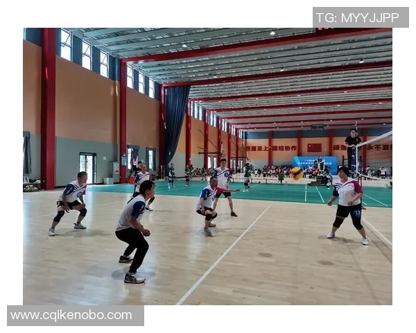 成都排球队在杯赛中的个人能力展现与战术配合分析